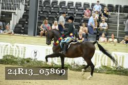 24R13_05869 thumbnail