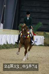 24R13_05874 thumbnail