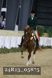 24R13_05875 thumbnail