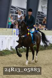 24R13_05883 thumbnail