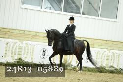 24R13_05889 thumbnail