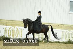 24R13_05890 thumbnail