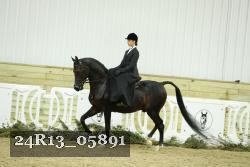 24R13_05891 thumbnail