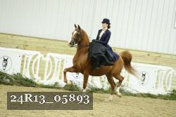 24R13_05893 thumbnail