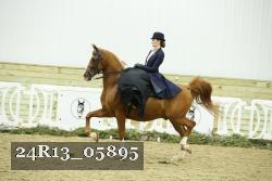 24R13_05895 thumbnail