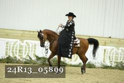24R13_05899 thumbnail