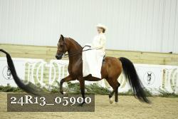 24R13_05900 thumbnail