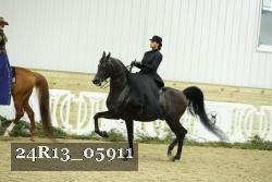 24R13_05911 thumbnail