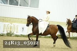 24R13_05912 thumbnail