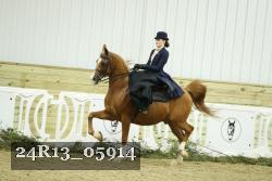 24R13_05914 thumbnail