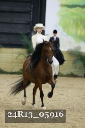 24R13_05916 thumbnail