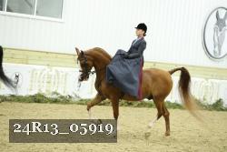 24R13_05919 thumbnail