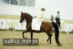 24R13_05930 thumbnail