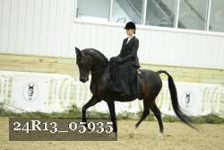 24R13_05935 thumbnail