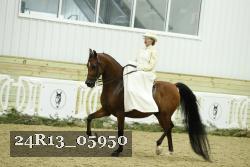 24R13_05950 thumbnail