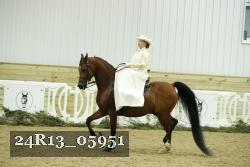 24R13_05951 thumbnail