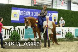 24R13_05997 thumbnail
