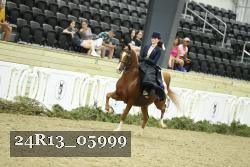 24R13_05999 thumbnail