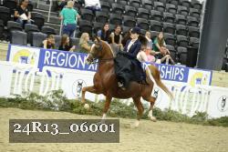 24R13_06001 thumbnail
