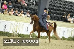24R13_06004 thumbnail