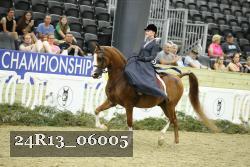 24R13_06005 thumbnail