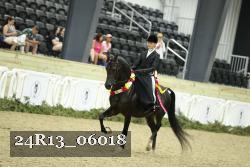 24R13_06018 thumbnail