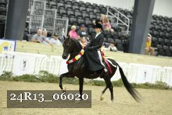 24R13_06020 thumbnail