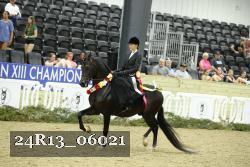 24R13_06021 thumbnail