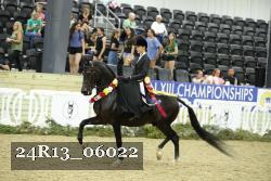 24R13_06022 thumbnail