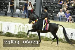 24R13_06024 thumbnail
