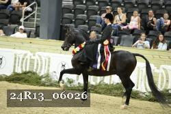 24R13_06026 thumbnail