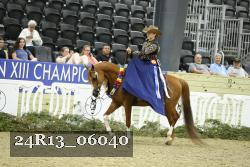 24R13_06040 thumbnail