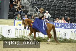 24R13_06042 thumbnail