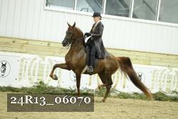 24R13_06070 thumbnail