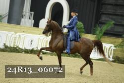 24R13_06072 thumbnail