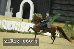 24R13_06073 thumbnail