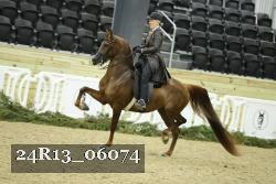 24R13_06074 thumbnail