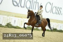 24R13_06075 thumbnail