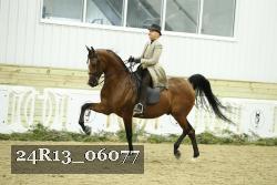 24R13_06077 thumbnail