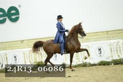 24R13_06086 thumbnail