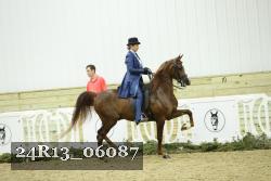 24R13_06087 thumbnail