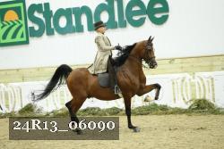 24R13_06090 thumbnail