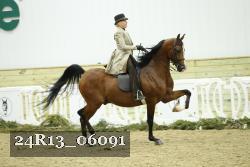 24R13_06091 thumbnail