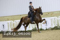24R13_06100 thumbnail