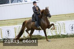 24R13_06101 thumbnail