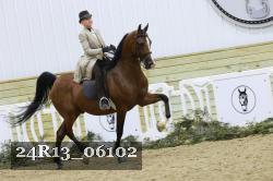 24R13_06102 thumbnail