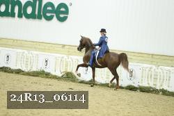 24R13_06114 thumbnail