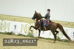 24R13_06117 thumbnail