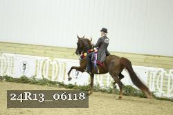 24R13_06118 thumbnail