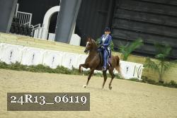 24R13_06119 thumbnail